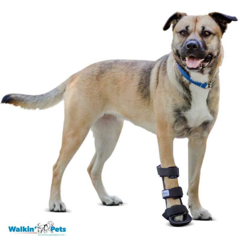 DOPRODEJ WALKINPETS - ORTÉZA S PATOU PRO PSA (NA PŘEDNÍ NOHY)