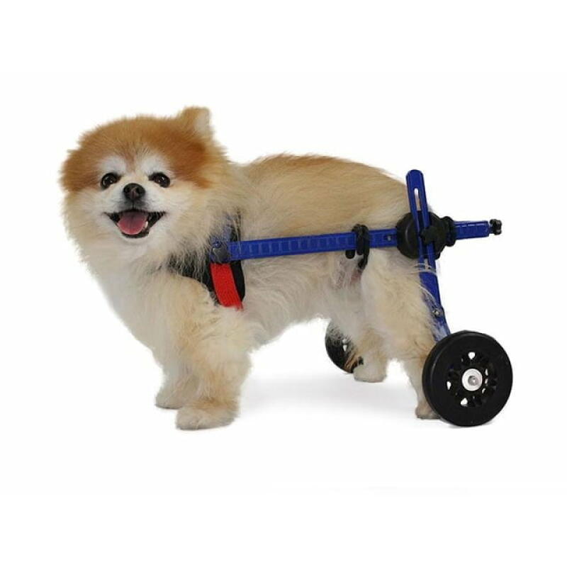 Zadní invalidní vozík pro psy Walkin‘ Wheels® do 4,5 kg