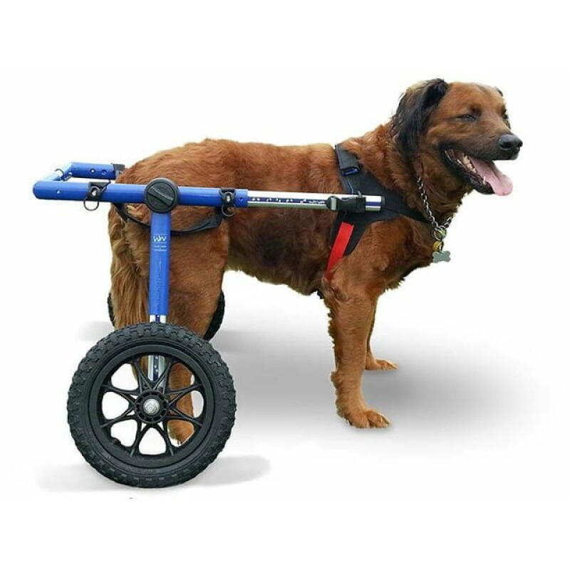 Zadní invalidní vozík pro psy Walkin‘ Wheels® do 81 kg
