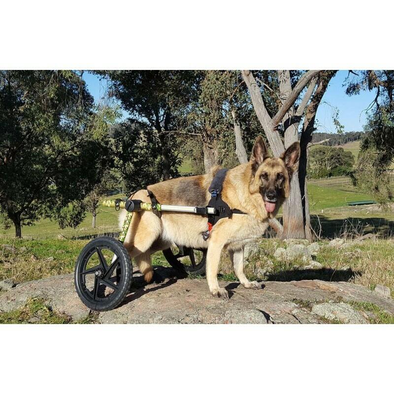 Zadní invalidní vozík pro psy Walkin‘ Wheels® do 81 kg