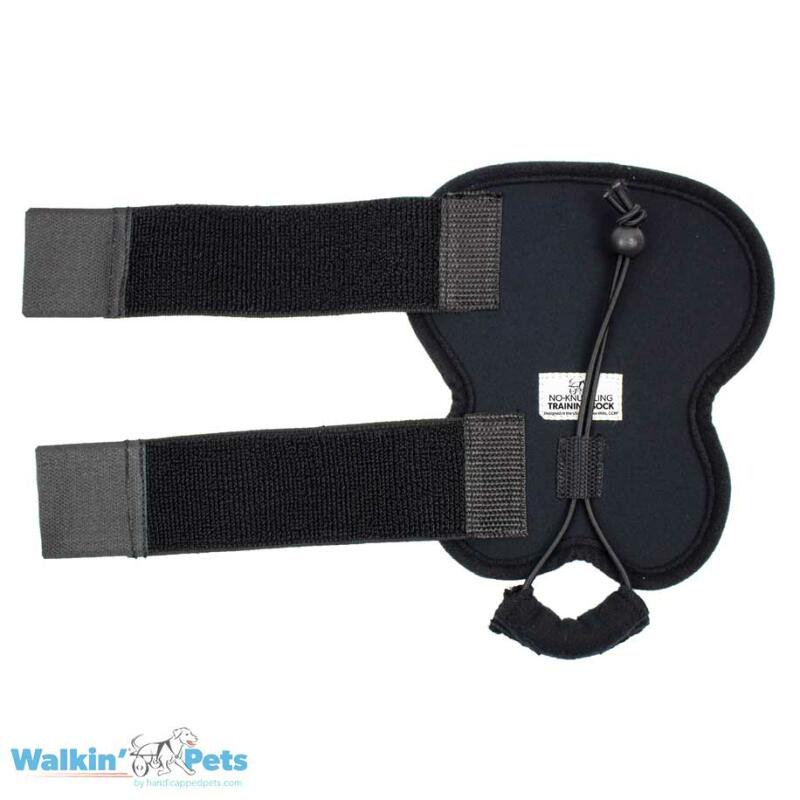 WALKINPETS TRÉNINKOVÉ PONOŽKY PROTI PŘEKLUBOVÁNÍ Zadní