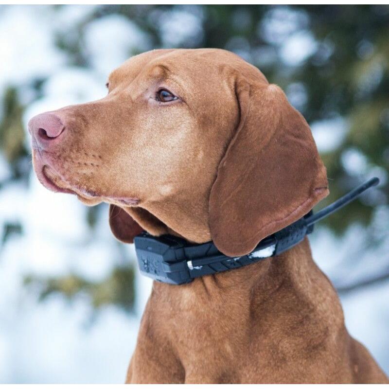 GPS obojek vyhledávací zařízení pro psy DOG GPS X20