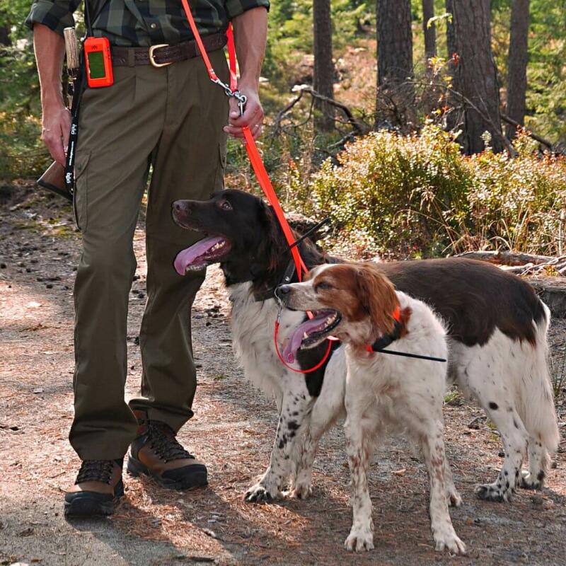 GPS obojek vyhledávací zařízení pro psy DOG GPS X20