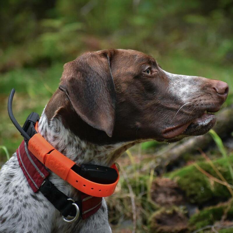GPS Vyhledávací a výcvikové zařízení pro psy DOG GPS X30T